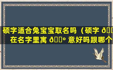 硕字适合兔宝宝取名吗（硕字 🕷 在名字里寓 🌺 意好吗跟哪个字搭配取名最吉利）